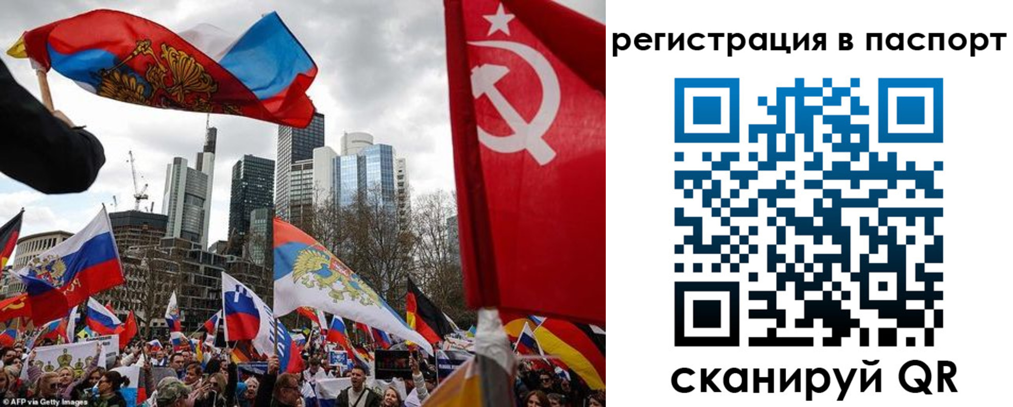 временная регистрация поиск в Ельне